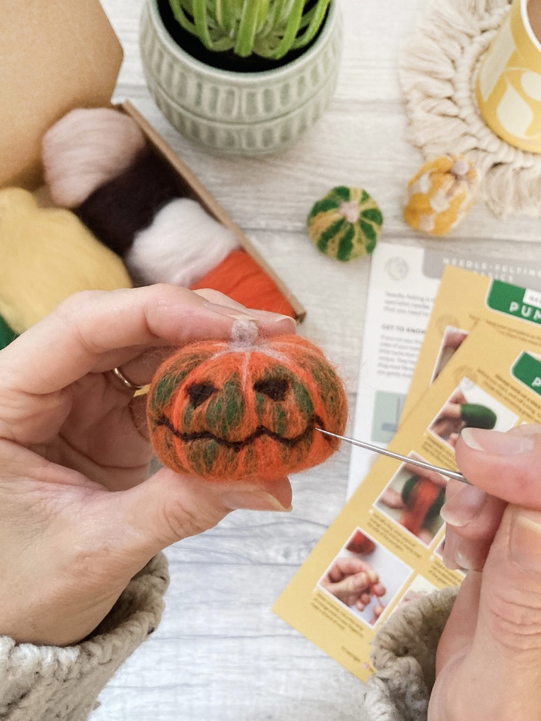 Needle-felt pumpkin craft kit contents
