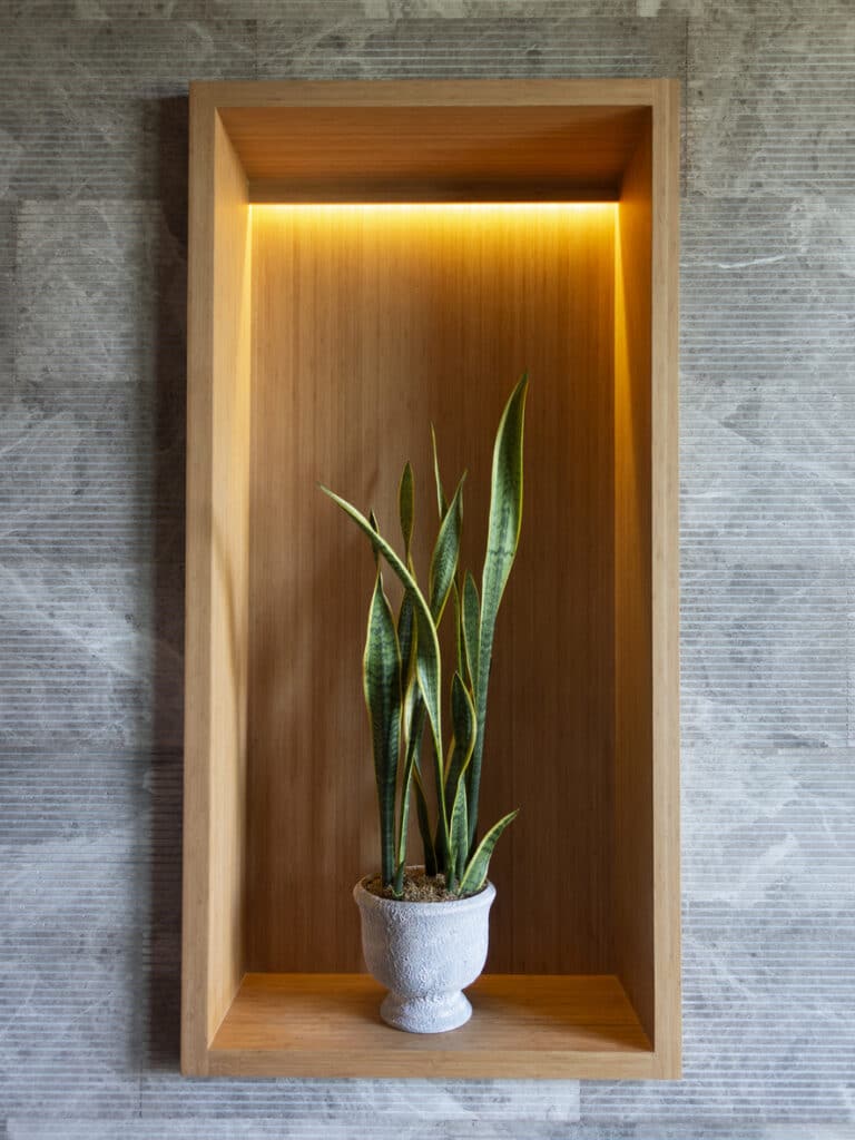Feng shui plant with a snake plant in a timber niche lit by a warm strip light