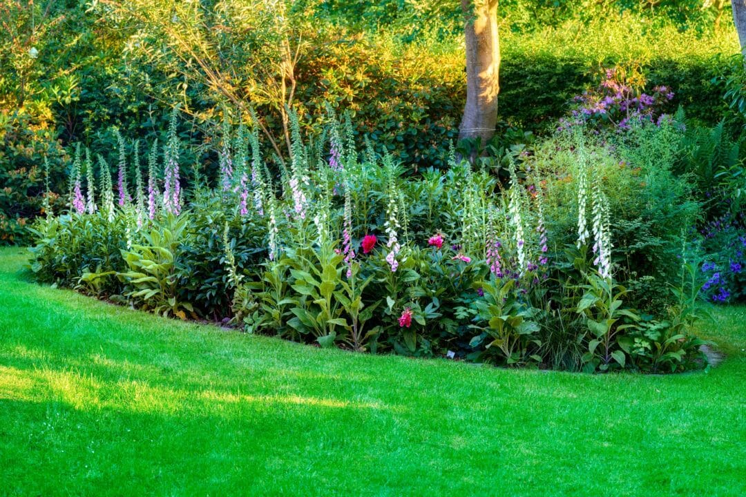 Cottage Garden Ideas: Plants, Design and Inspiration for a Romantic UK Garden