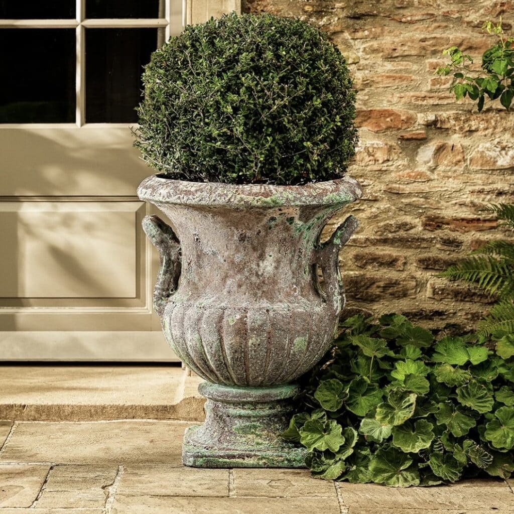 Clipped Buxus ball in a weathered stone fluted urn