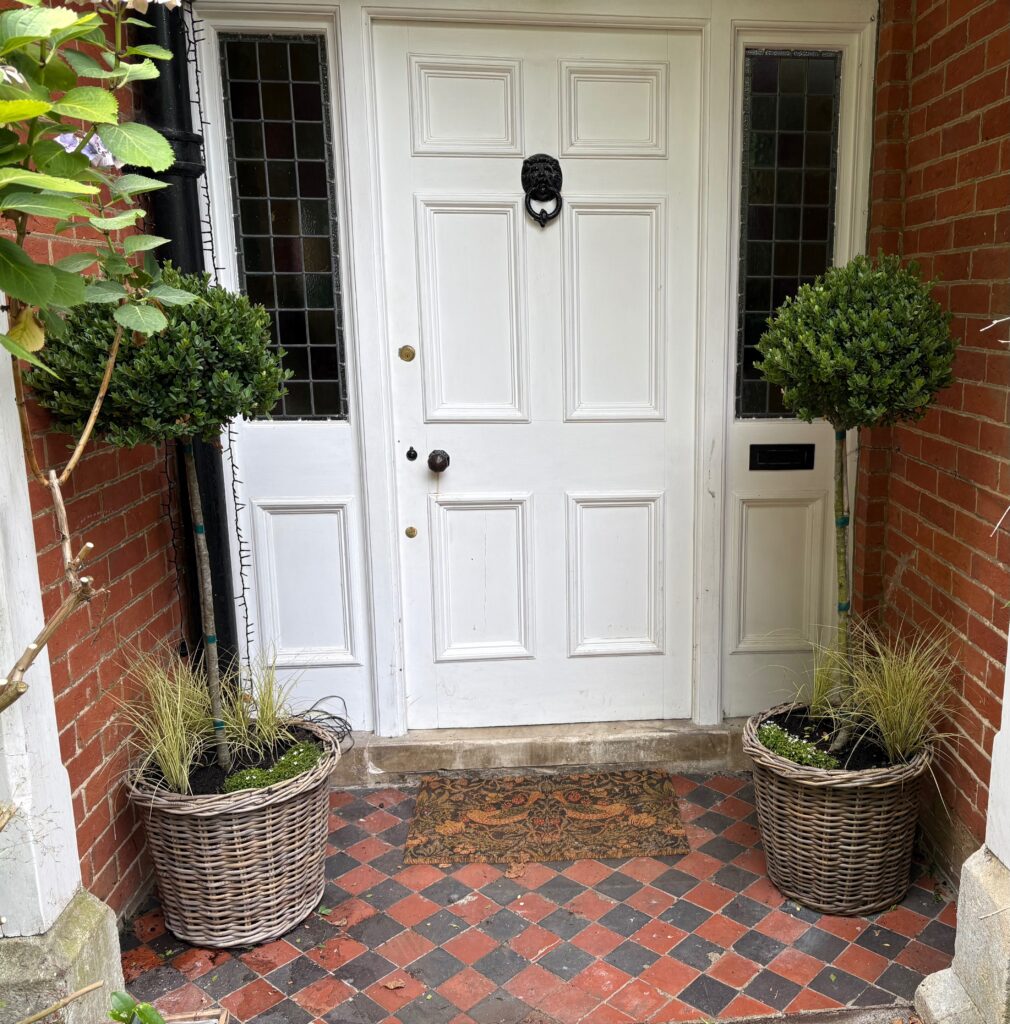 Clipped Buxus standards flanking a front door in wicker planters