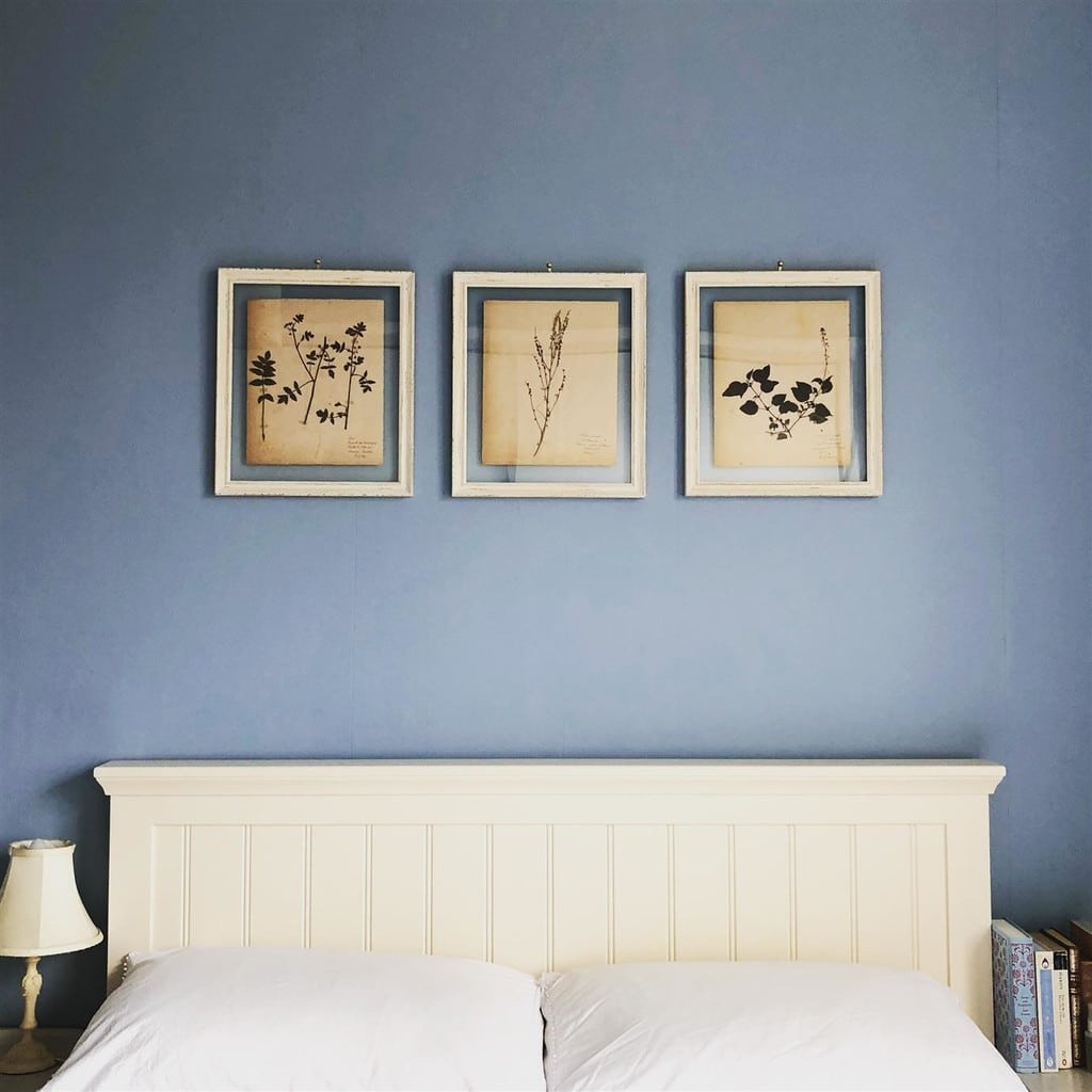 Three framed pressed botanical prints in a row above a cream headboard on a blue bedroom wall