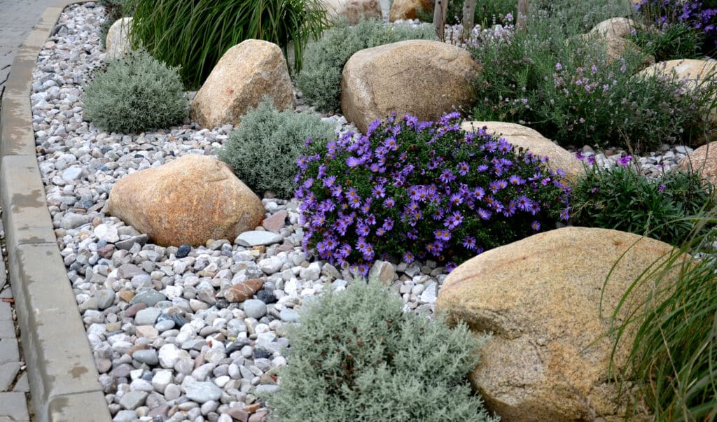 Low maintenance garden design with group plantings, boulders and gravel mulch for a modern look