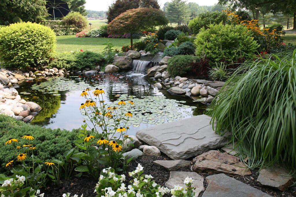 natural garden pond with rocks, water lilies and soft planting in a landscaped garden