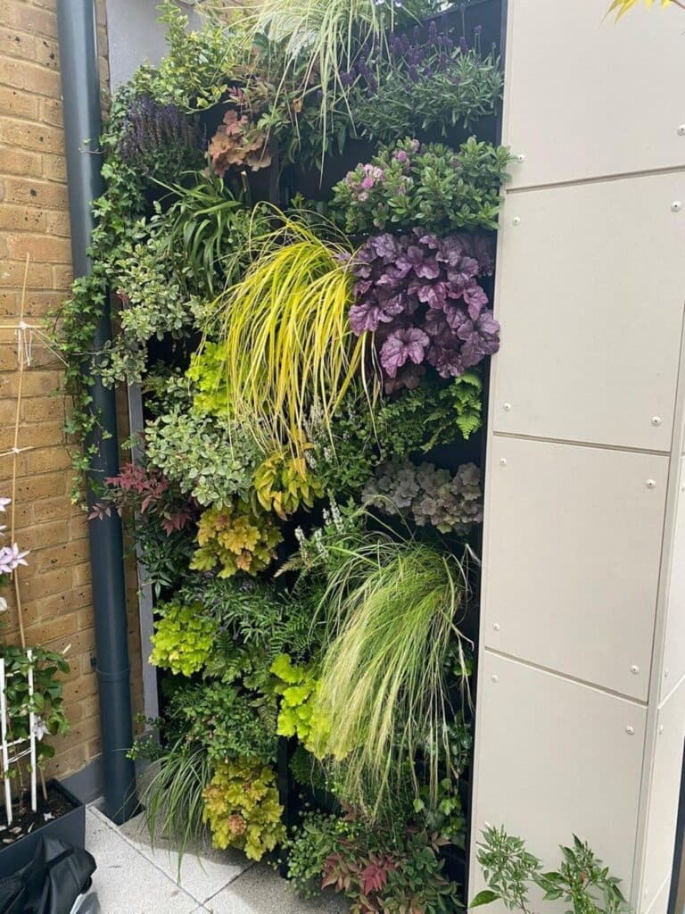 Outdoor living wall planted with ferns, heuchera, sedge and trailing grasses in a modular trough system