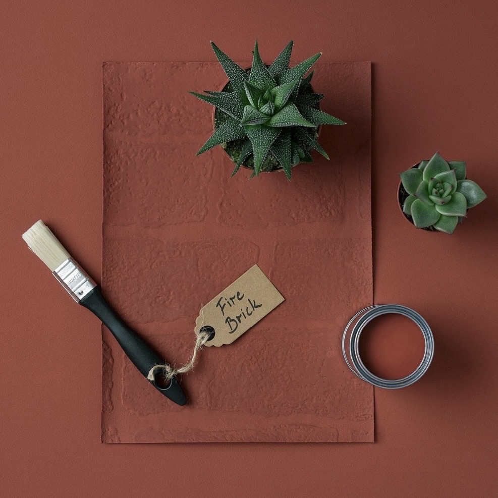 Rust-Oleum Fire Brick paint swatch with paintbrush, succulents and paint tin on a terracotta background