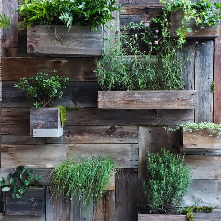 Courtyard garden ideas like a Vertical wall garden is a great use of space