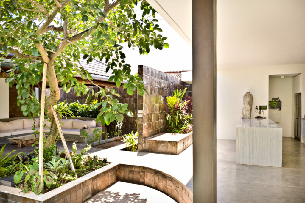 Modern courtyard garden with well-defined zones for lounging, greenery, and pathways. A stylish and functional example of courtyard garden ideas for creating a harmonious outdoor space.