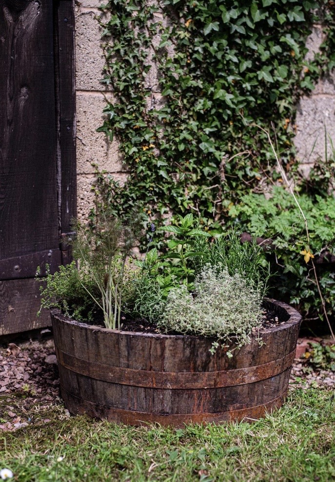 Oak half whisky barrel planter with cosmos and petunias against a stone wall