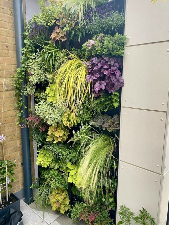 Small balcony featuring a lush green living wall, providing privacy and a vibrant natural aesthetic – a stylish and space-saving small balcony idea.