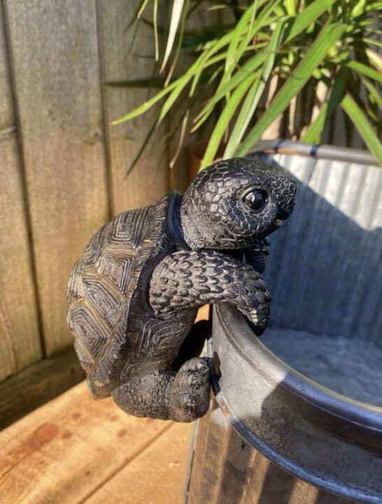 Quirky turtle pot decoration adding personality to a small balcony – a unique small balcony decor idea.