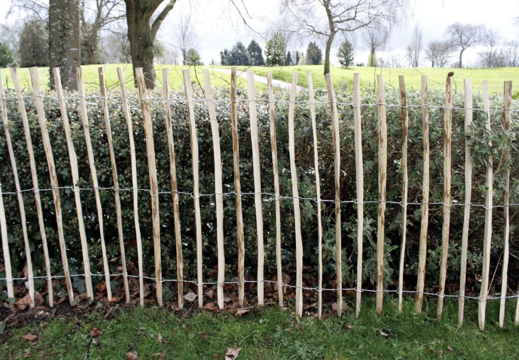 rustic hazel wood picket fence alongside a garden hedge