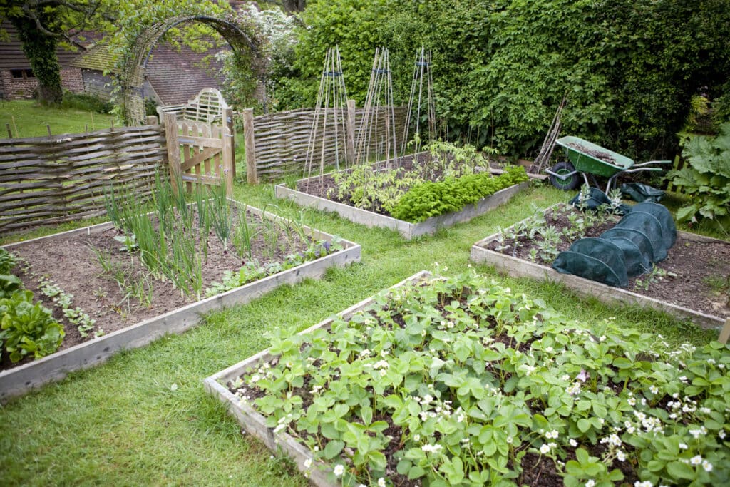 rustic garden fencing ideas with woven willow fence panels and raised vegetable beds