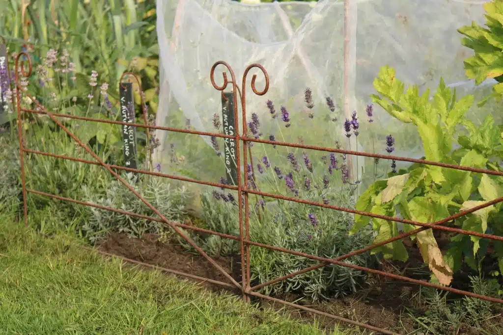 rustic metal fencing ideas with rusted steel border fence in vegetable garden