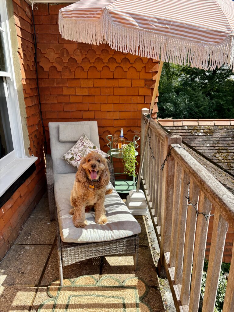 A golden cockapoo sitting on a wicker sun lounger on a narrow Victorian balcony, styled with a fringed striped parasol, floral cushion and scalloped jute runner — cosy small balcony ideas in action.
