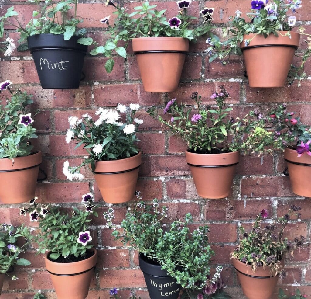 Vertical garden pot hanger rings with terracotta plant pots on a brick wall, a space-saving small balcony greenery idea.
