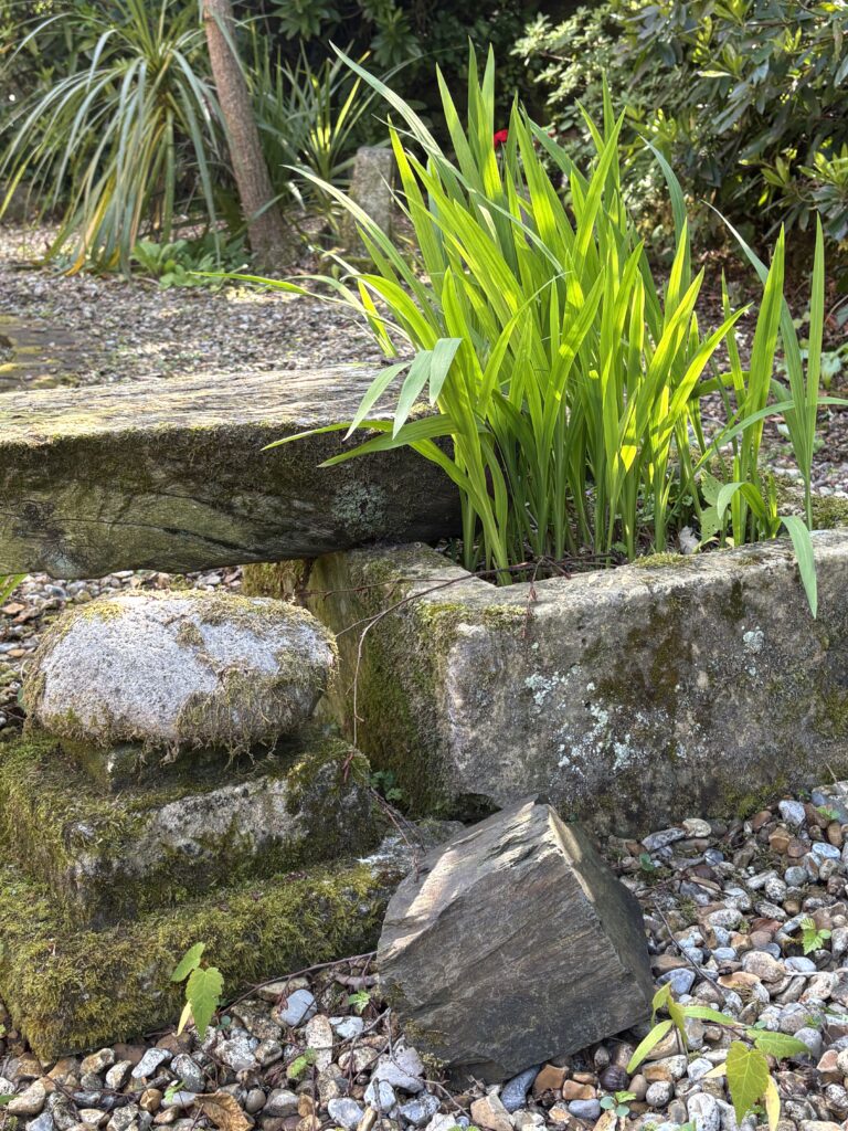 Moss-covered stone trough with iris planting and mixed pebbles in a Hampshire garden