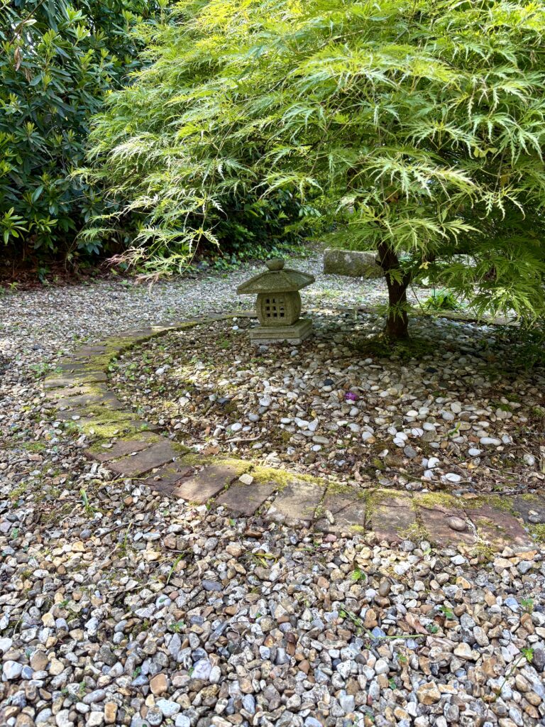 Stone lantern and Japanese maple on a pebble ground plane with circular brick edging in a Hampshire garden