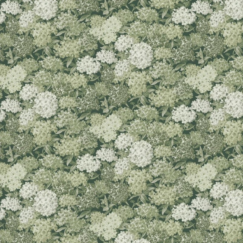 Little Greene Rhododendron Walk wallpaper in Puck with clustered white blooms on green