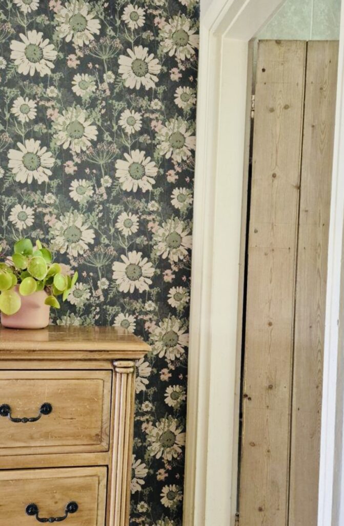 Dark green floral wallpaper with soft cream blooms styled with rustic wooden chest and indoor plant.