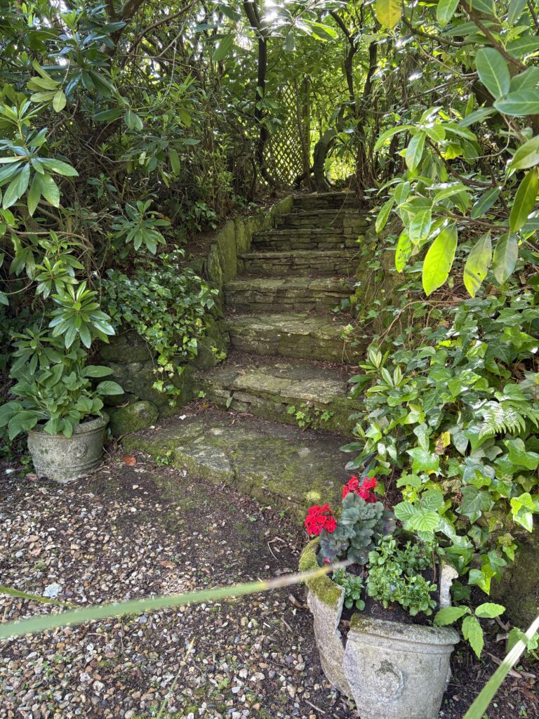 Weathered stone steps with mossy aged pots and red geraniums in a shaded gravel garden – gravel garden ideas with pots