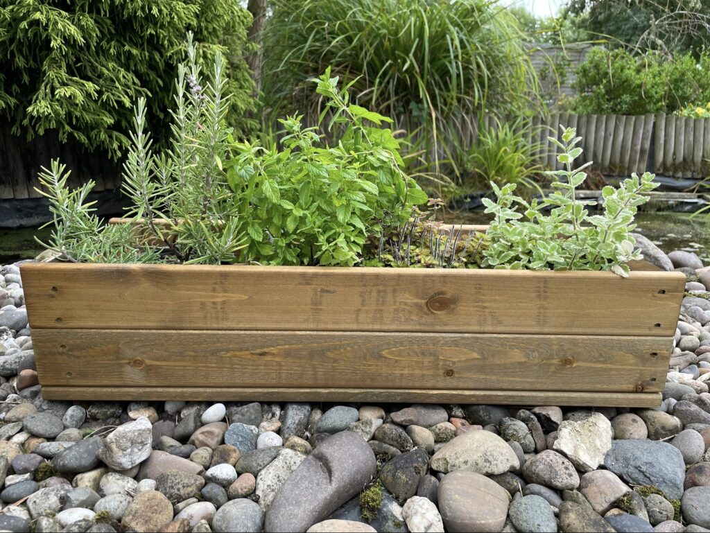 Wooden raised herb planter on rounded pebble gravel filled with rosemary, mint and sage – gravel garden ideas with pots