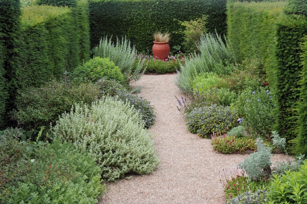 Gravel garden ideas with pots – low maintenance gravel path with a terracotta focal pot