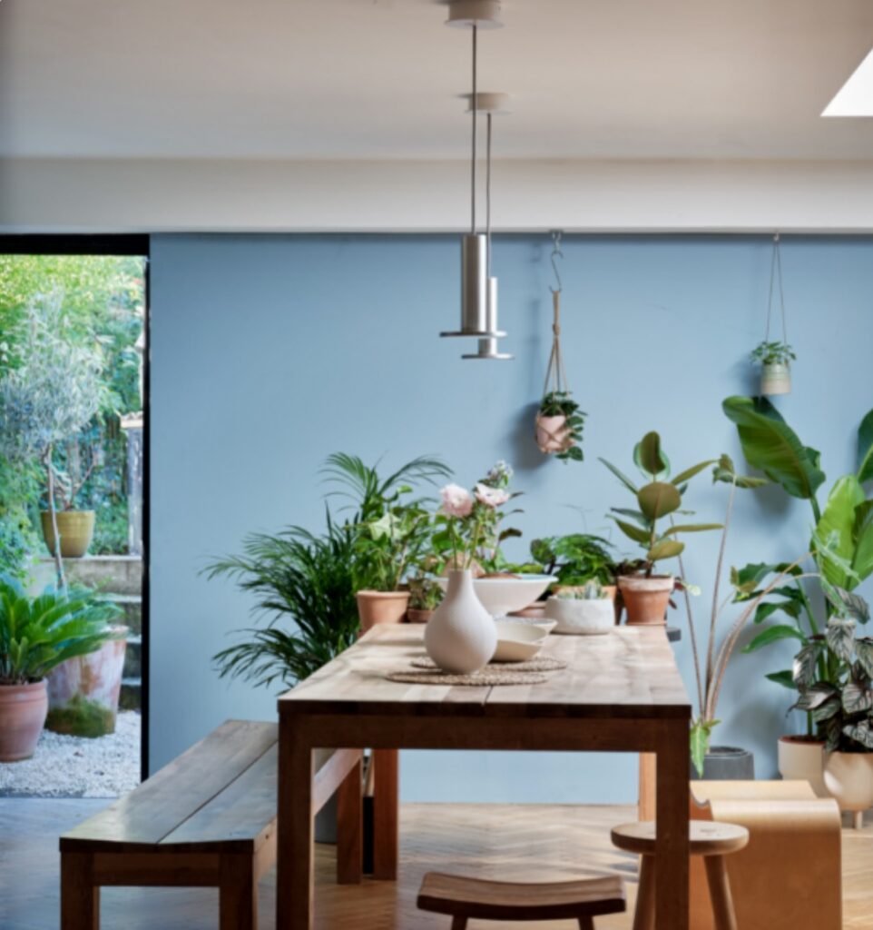 Lulworth Blue dining room walls paired with wooden furniture and houseplants in a sunlit interior