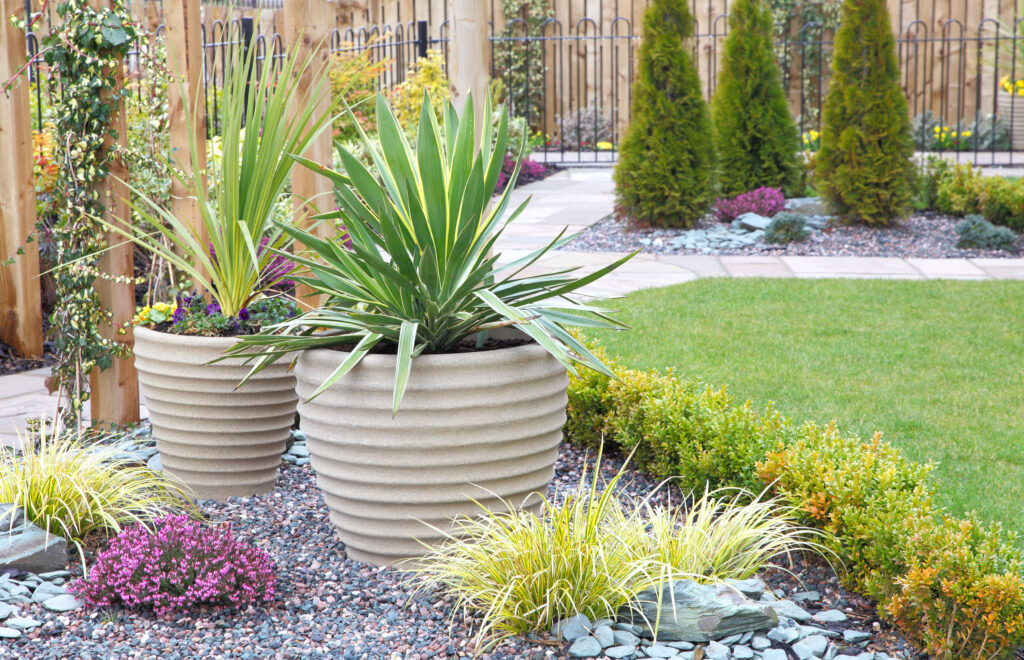 Large beige ribbed planters with bright green foliage on a gravel base – gravel garden ideas with pots