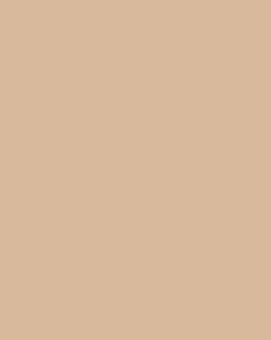 Farrow & Ball paint colour swatch in Faded Terracotta