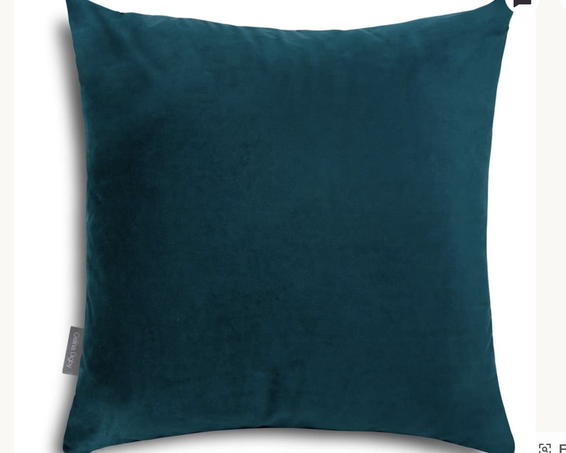 Teal velvet cushion paired with burnt orange cushions on a sofa