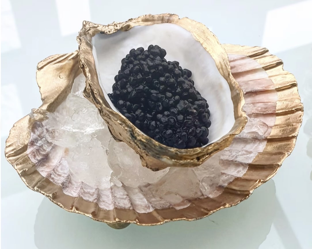 Gilded scallop shell and oyster caviar serving dish on ice