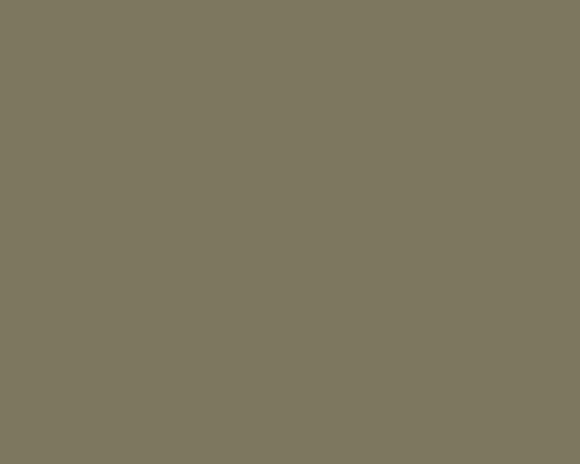 Farrow & Ball No.312 Dibber paint — down-to-earth olive green
