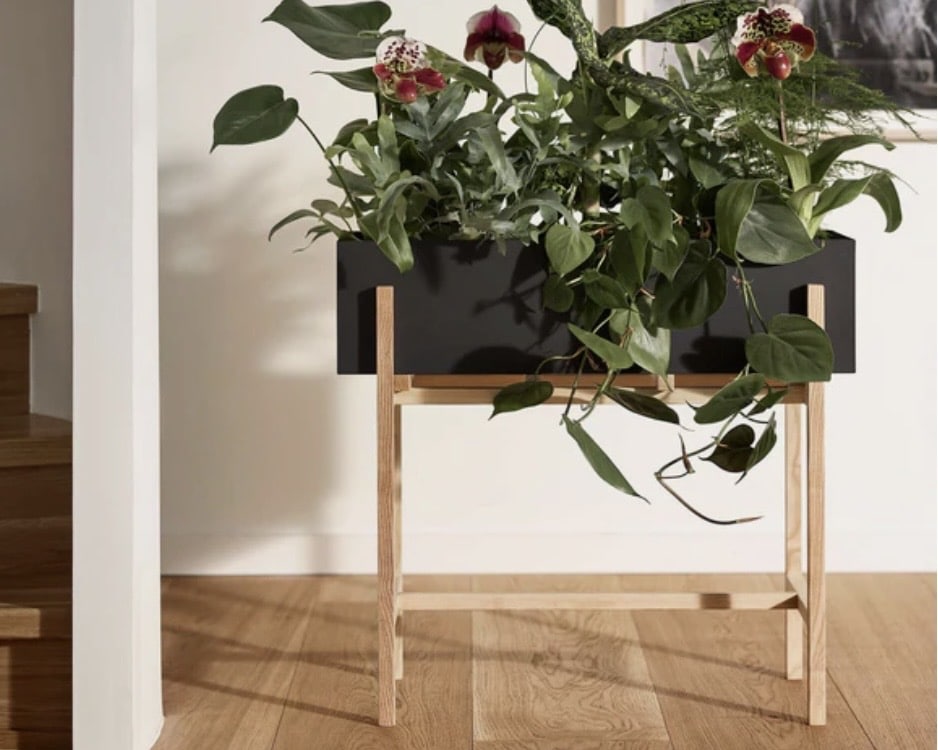 Design House Stockholm Botanic flower stand — black planter with oak frame