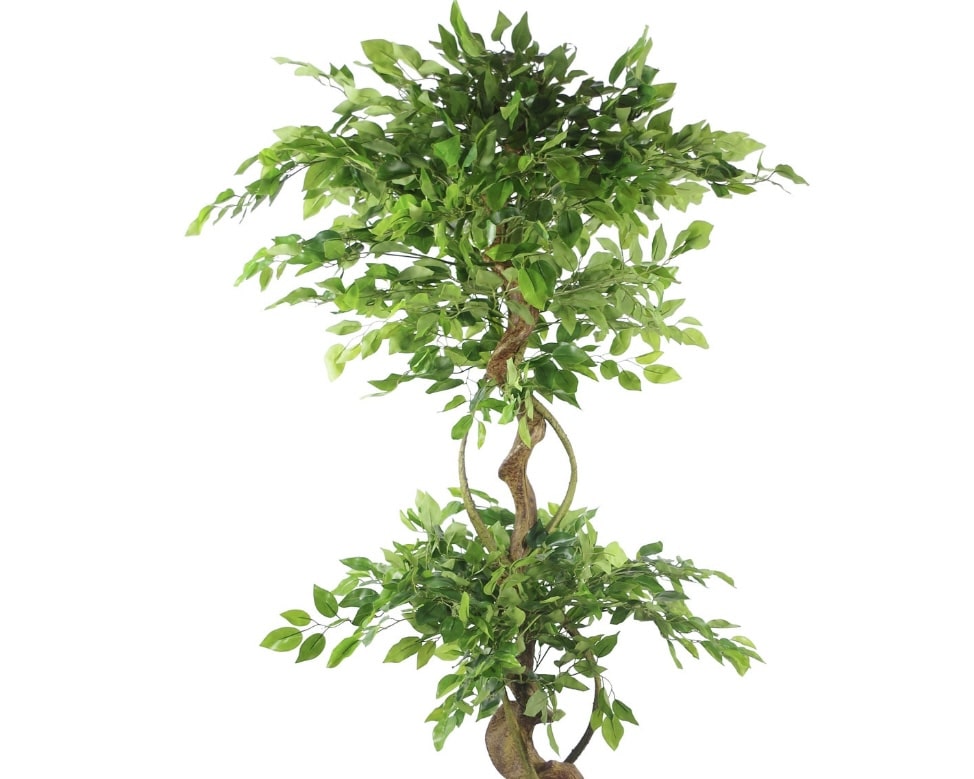 Artificial twisted trunk tree in black pot