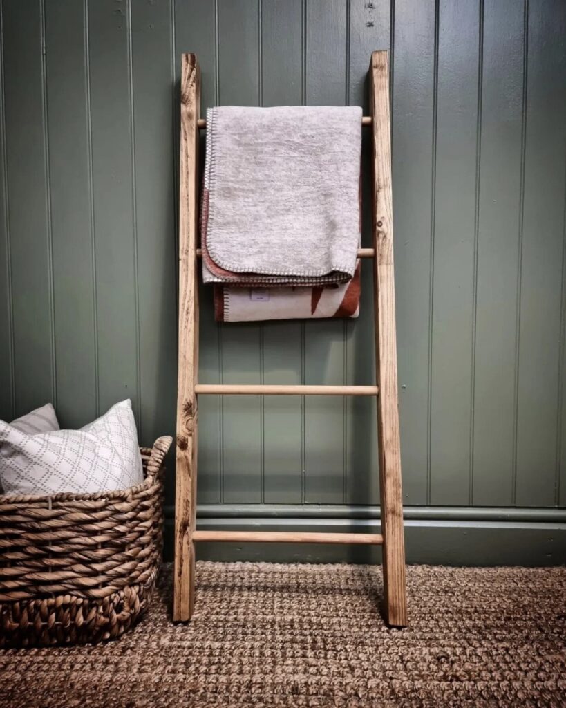 Living room storage ideas ladder