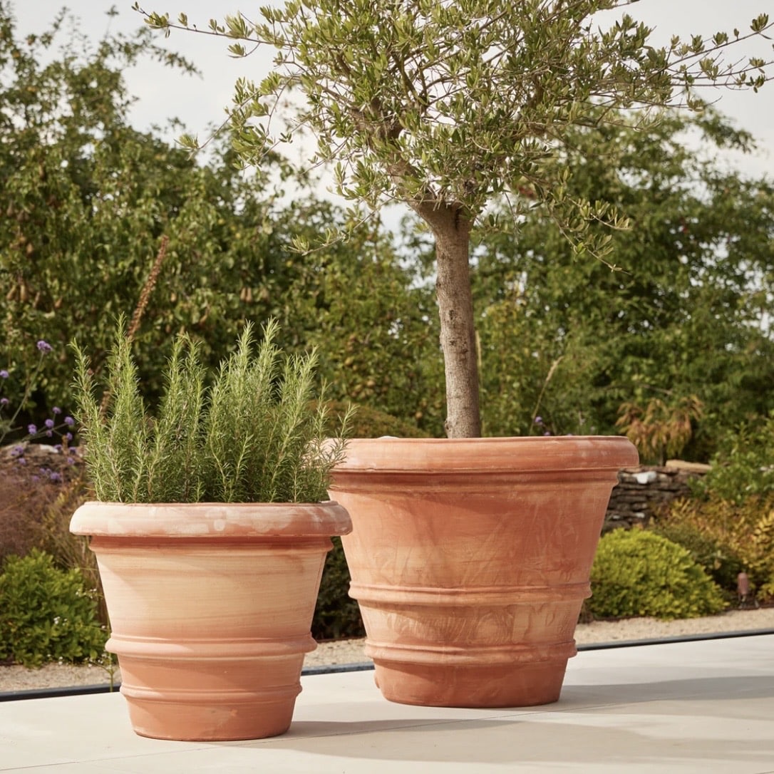 Verona extra large Italian terracotta plant pot — a classic choice for plants for pots