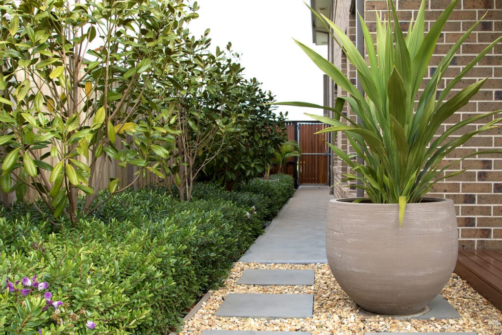 Small garden ideas: low maintenance gravel and stepping stones with an oversized statement pot and evergreen planting for structure.