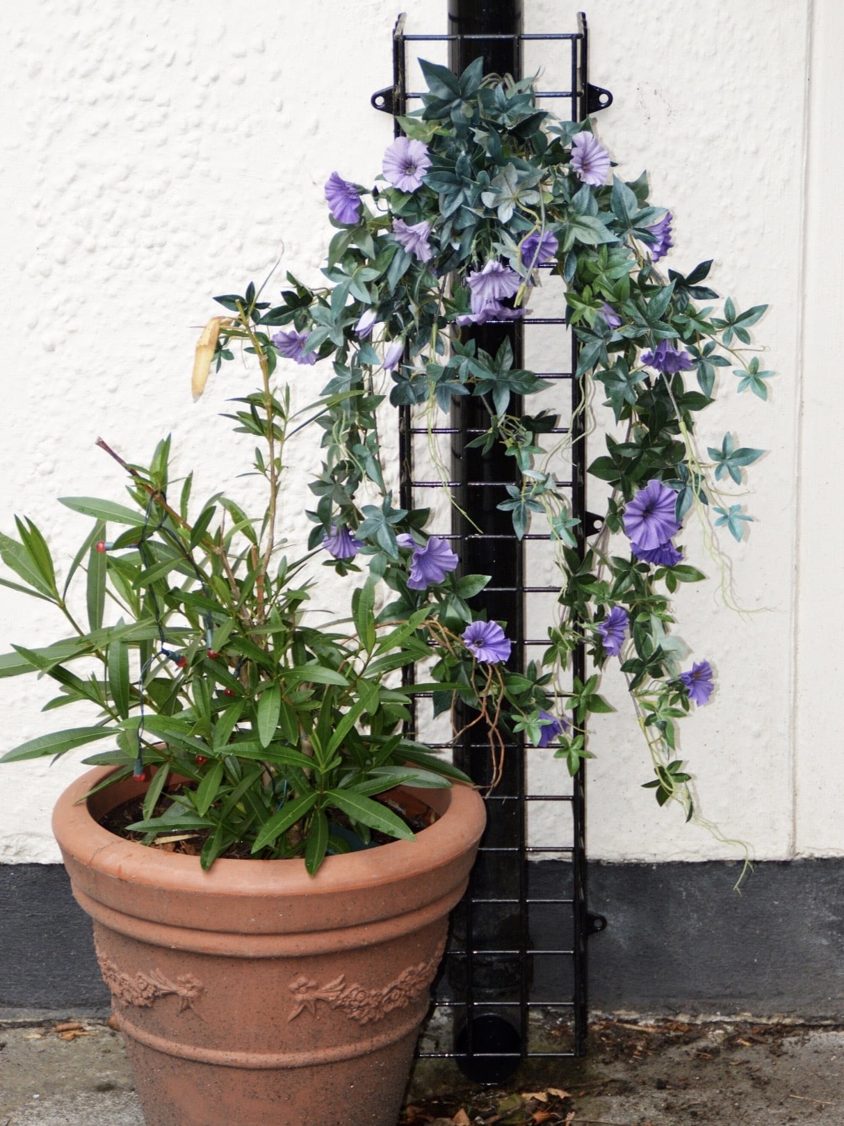 Small garden ideas: budget plant support mesh for climbers to maximise vertical space