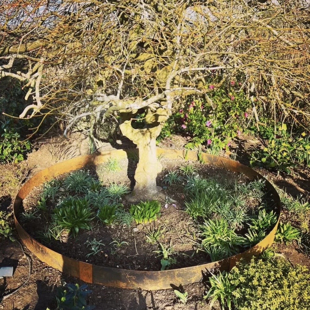 raised garden edging ideas with circular corten steel border around tree planting