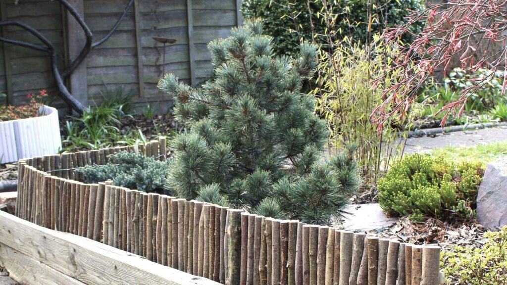 rustic wooden garden edging with hazel fence border around planting bed