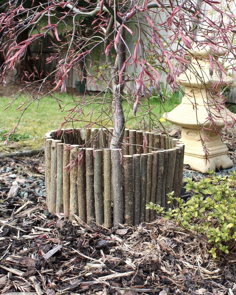 rustic wooden edging around tree base natural garden border idea