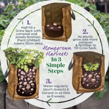 Potato grow sack planting guide showing how to grow potatoes in a container step by step