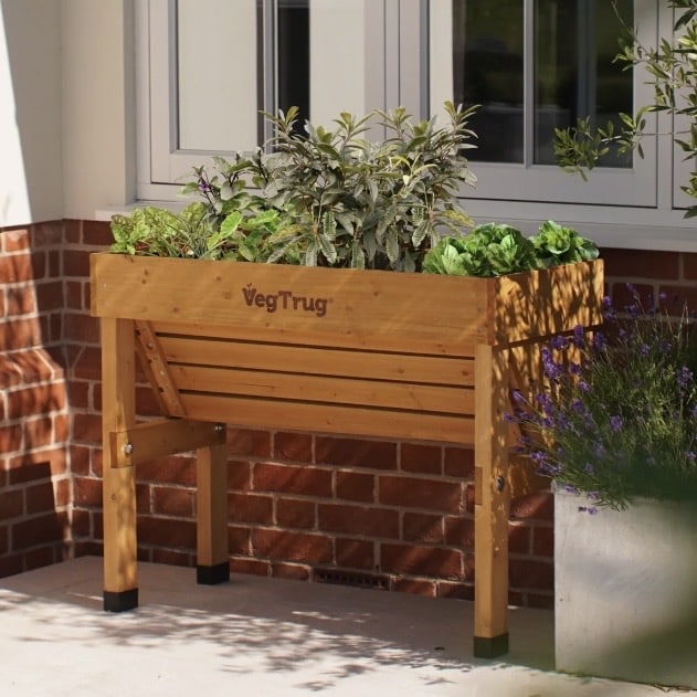 how to start a vegetable garden using a raised VegTrug planter in a small patio space