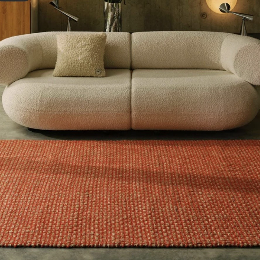 Minimalist orange living room with burnt orange rug and cream sofa