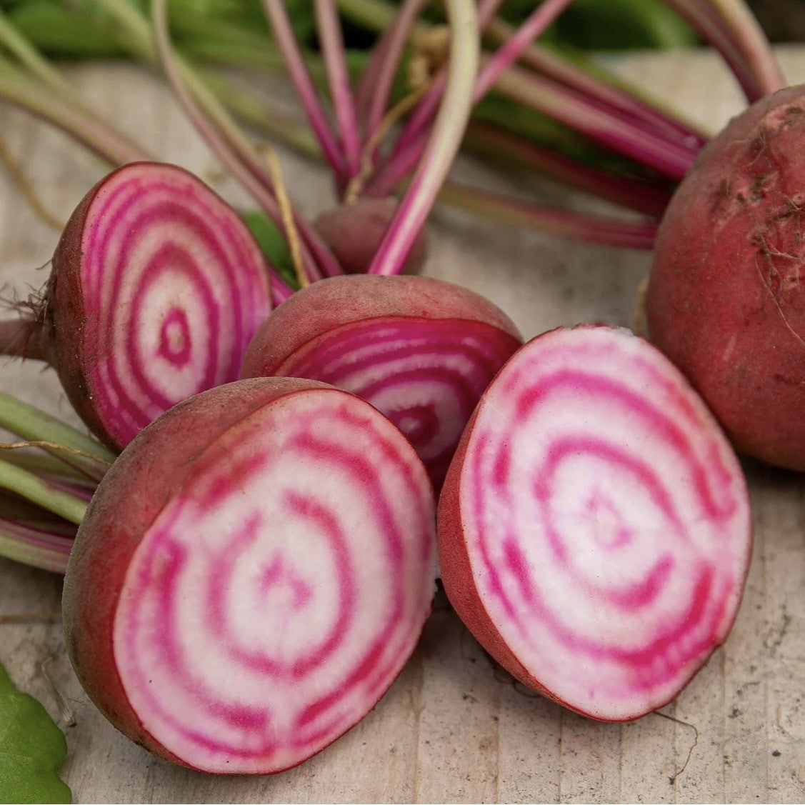 Chioggia beetroot sliced showing pink and white rings — Italian heirloom beetroot variety for UK gardens