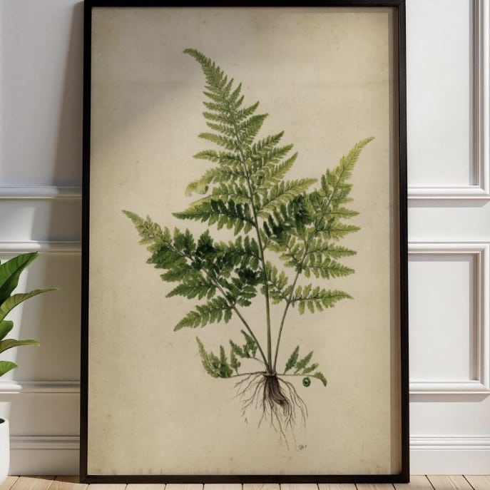 Vintage Fern Botanical Art Print - WeGetThePicture