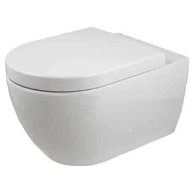 Wall hung toilet