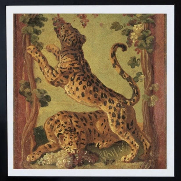 Leopard Love Art Print - Rockett St George
