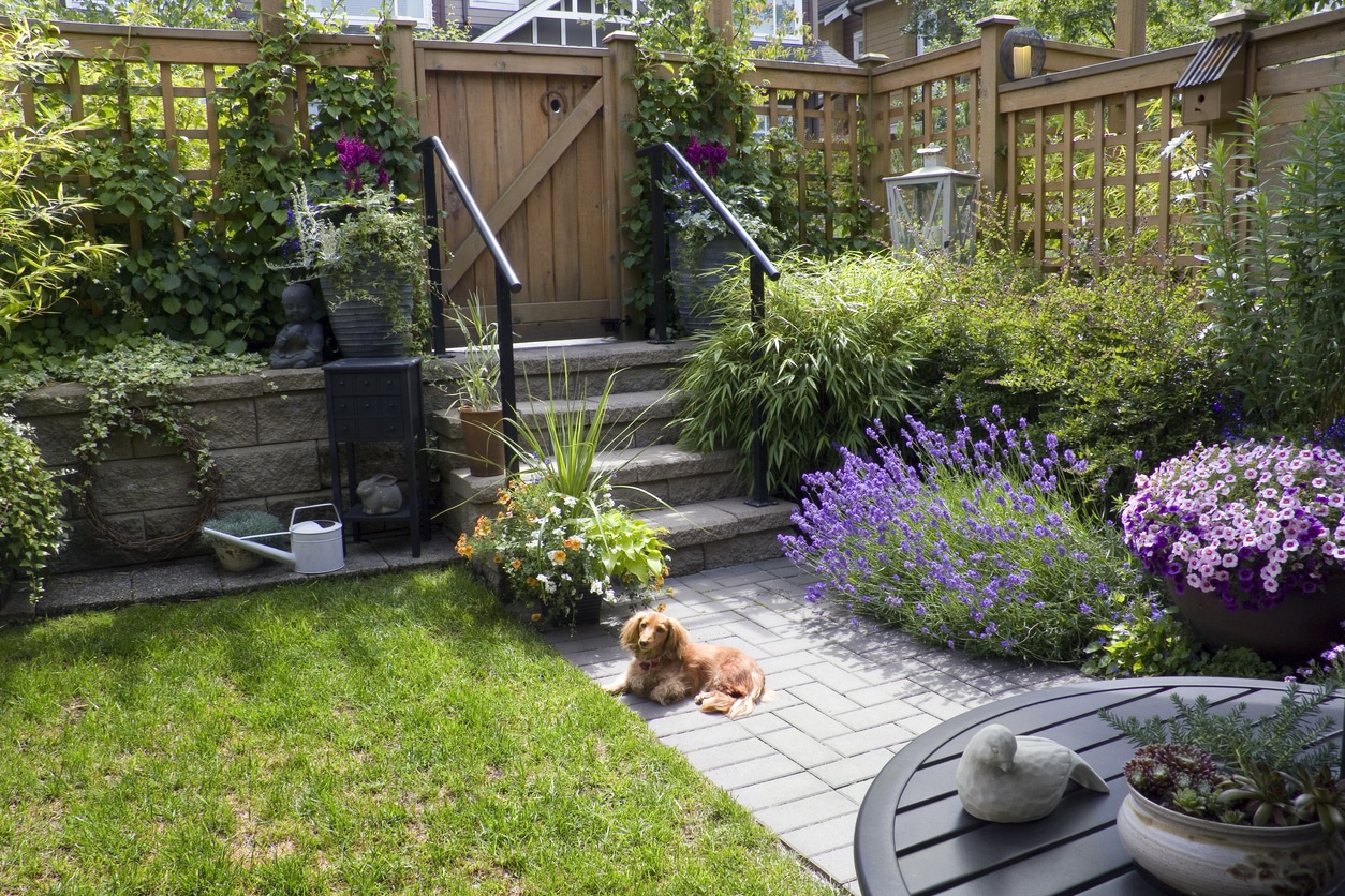 Small garden ideas UK